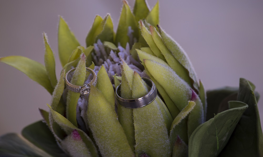 Weddings and Couples 7